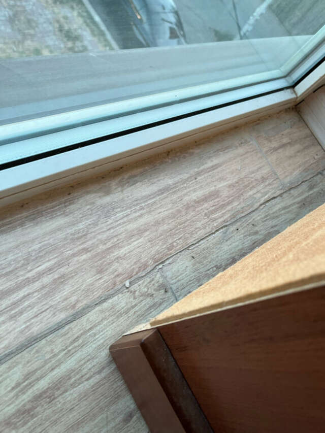 Гостевой дом Сафари Астрахань-189